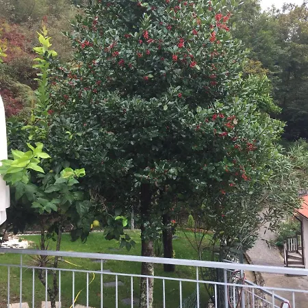 Fonte De Casarelhos 度假居 *